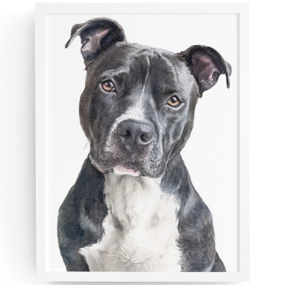 Creative Path Studios Other - American Pit Bull Terrier Watercolor Wall Art Print Poster - Unframed